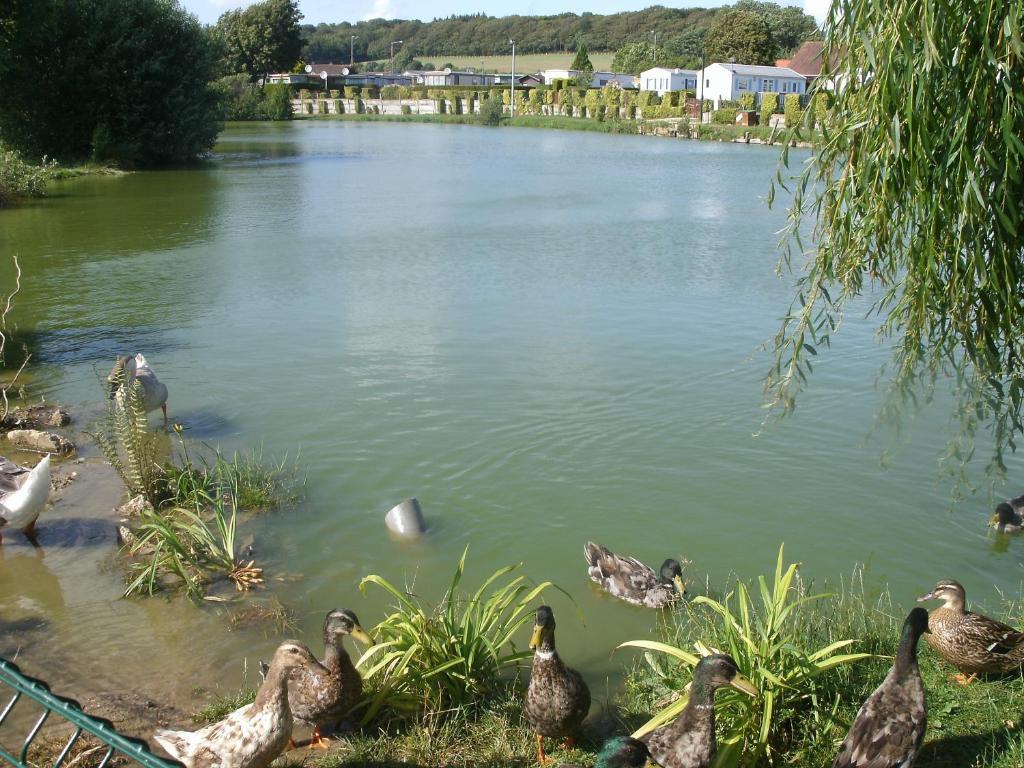 Auberge Des Etangs Roussent Bagian luar foto